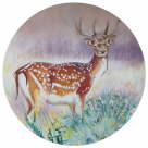 Damwild