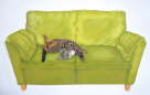grnes Sofa