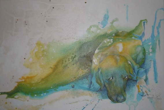 Hund liegend