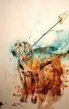 bunter Hund