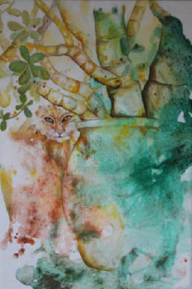 rote Katze
