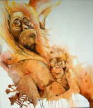 Orang Utans