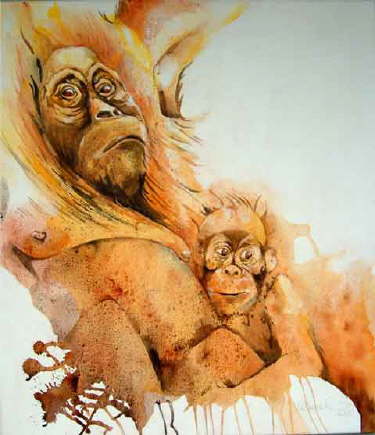 Orang Utans
